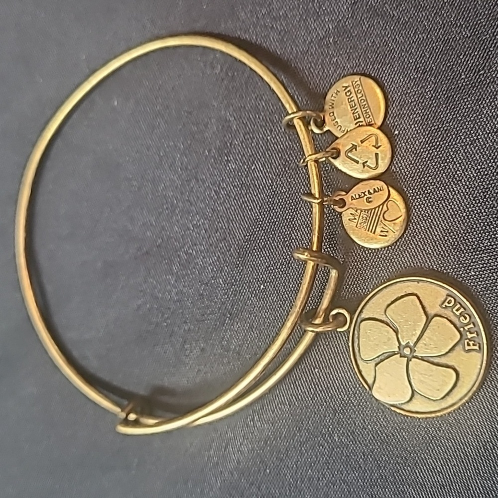 Alex and Ani Friend Bangle Bracelet - (+) Energy - Gold Color